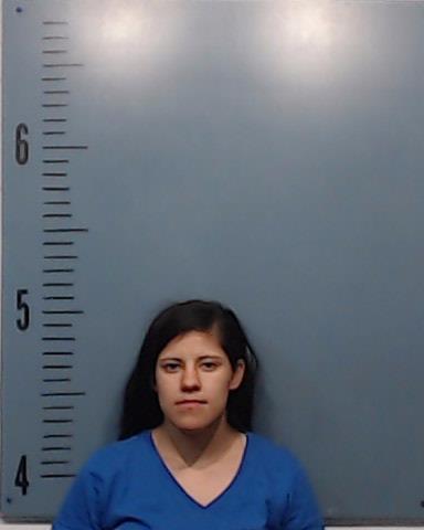 Acosta, Anita Celeste booking photo