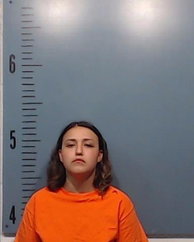 Castillo, Anastazea Cristine booking photo