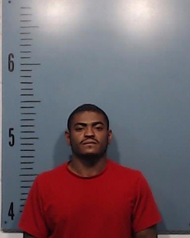 Webster, Elijah Damante Bryse booking photo