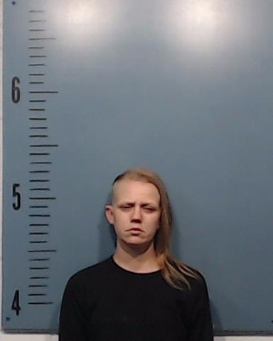 Stanfield, Helen Nichelle booking photo