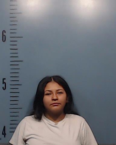 Gomez, Rosamaria Lizethe booking photo