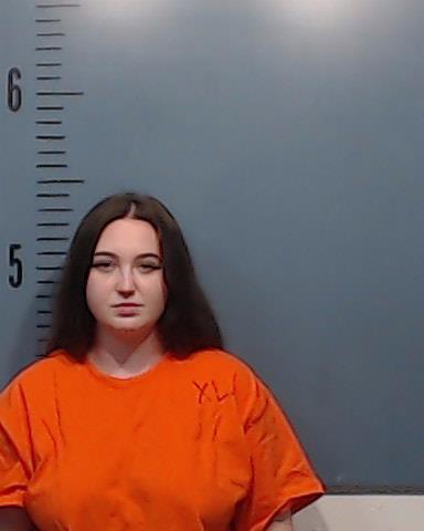 Levens, Tamara Nicole booking photo