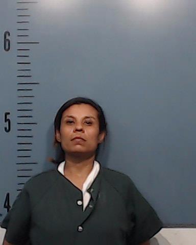 Donaghey, Felisita Villegas booking photo