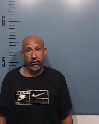 Wilson, Patrick Shanon booking photo