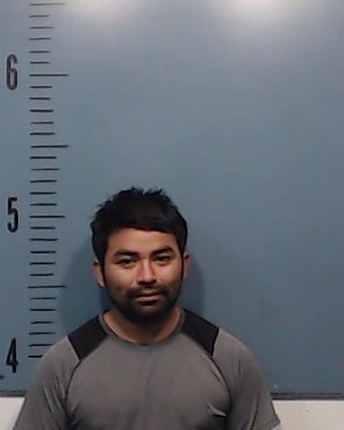 Amaya-Vasquez, Fredy Alexi booking photo