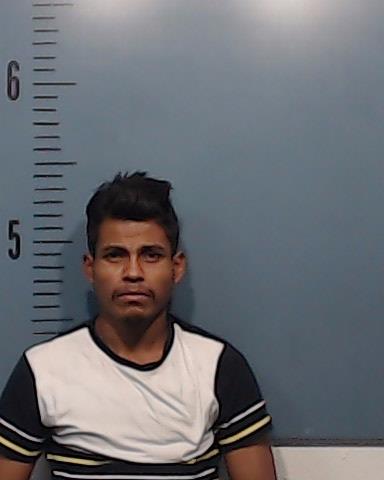 Rammirez-Garcia, Mario Humberto booking photo