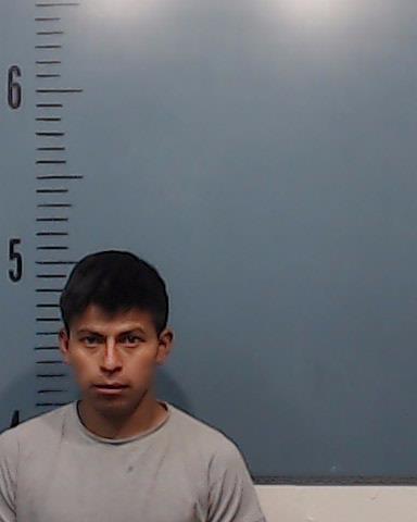 Calan-Telon, Jose booking photo
