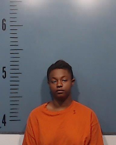 Scott, Tijana S booking photo