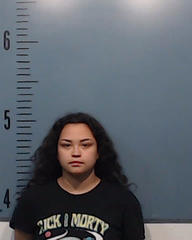 Ramirez, Alexis Petra booking photo