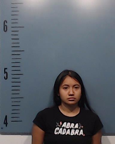 Gonzalez-Ruiz, Nancy booking photo