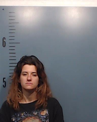 Brooks, Ashley Nicole booking photo