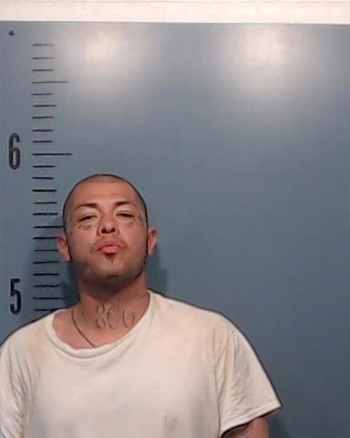 Leos, Anthony Lee booking photo