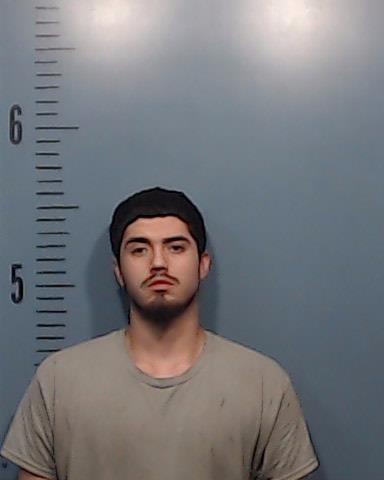 Pedroza, Noah Ethan booking photo