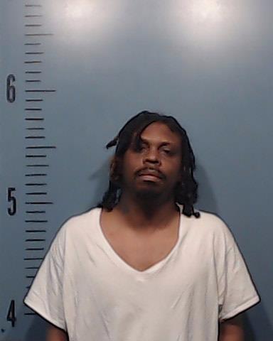 Johnson, Danielle Lamonte booking photo