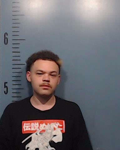 Garner, Brandon Alexzander booking photo