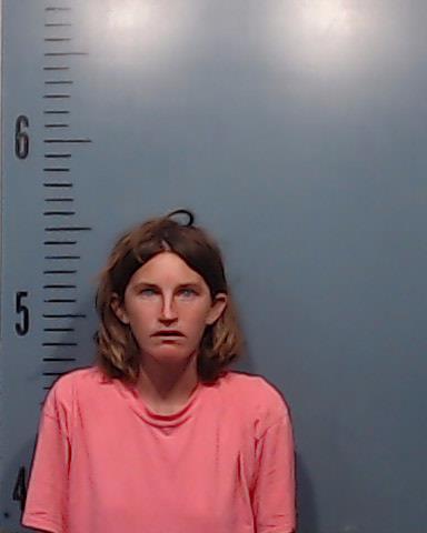 Larkin, Cheyenne Elizabeth booking photo