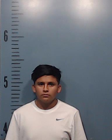 Ibarra-Nopal, Jose booking photo