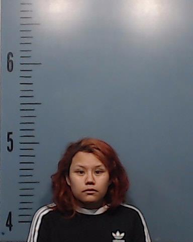 Sanchez-Angeles, Olga booking photo