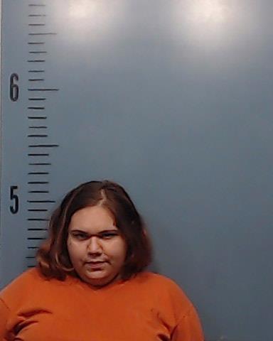 Villarreal, Angel Lee booking photo