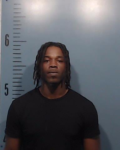 Lee, Tavares Wayneshae booking photo