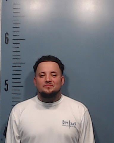Herrin, Thomas Zachary booking photo