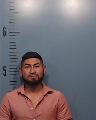 Sanchez-Perez, Manuel Alejandro booking photo