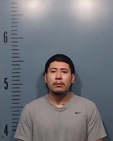 Longoria-Sanchez, Martin Rene booking photo