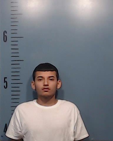 Gutierrez, Eliseo Anthony booking photo