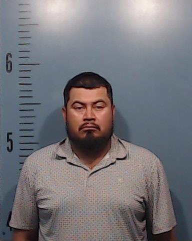 Silva Sandoval, Alejandro booking photo