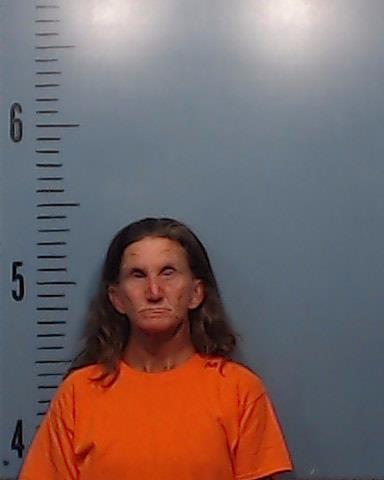 Johnson (Kelley), Cathy Lynn booking photo