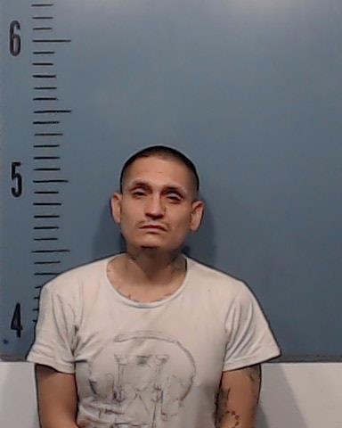 Galaviz, Jaime Rene booking photo