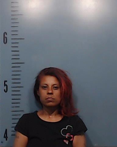 Donaghey, Felisita Villegas booking photo