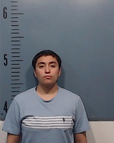 Torres, Alissa Celeste booking photo