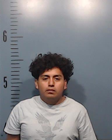 Martinez-Martinez, Carlos Raul booking photo