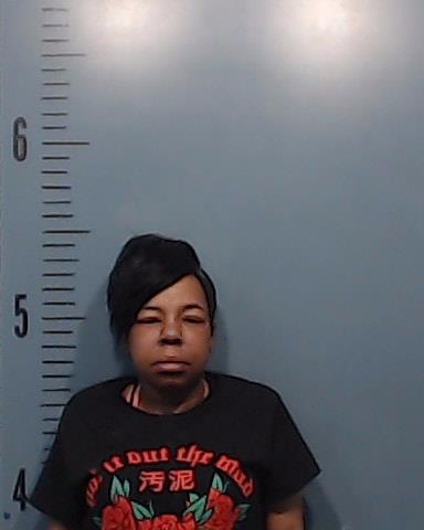 Mason, Maya Brenay booking photo