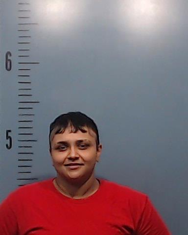 Jaramillo, Adriana Lee booking photo