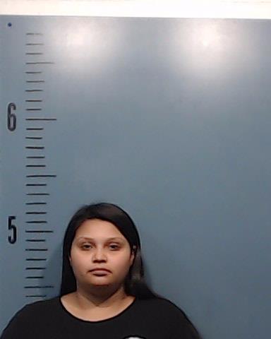 Gomez, Mireya Rae booking photo