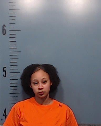 McGee, Brendia Lashay booking photo