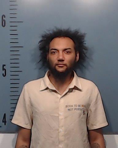 Williams, Frederick Leon, Jr. booking photo