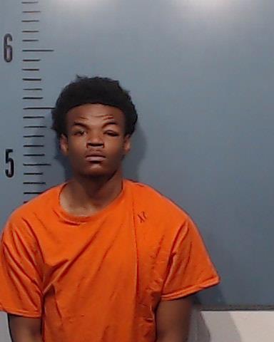 Williams, JaMichael Deon booking photo