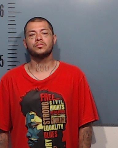 Leos, Anthony Lee booking photo