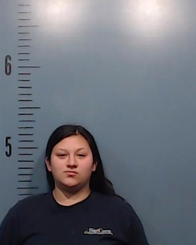 Hernandez, Guadalupe Nellie booking photo