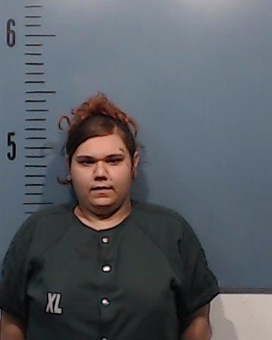 Villarreal, Angel Lee booking photo