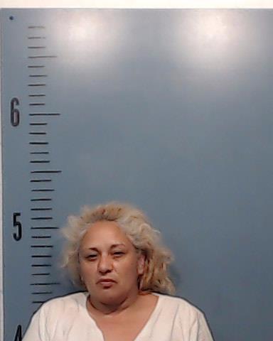 Fears, Cynthia Michelle booking photo