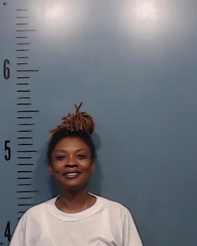 Haynes, Brittany Ann booking photo