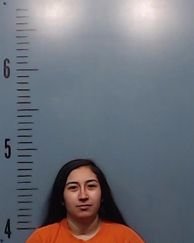 Gutierrez, Sky Michelle booking photo