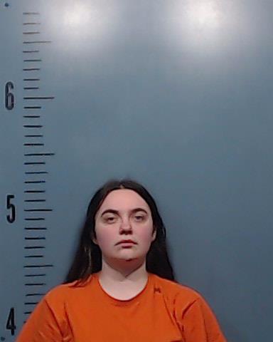 Schonerstedt, Emily Elizabeth booking photo