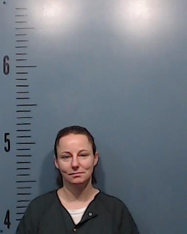 McMinn, Melissa Ann booking photo