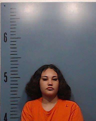 Valdez, Gabriella Tara booking photo