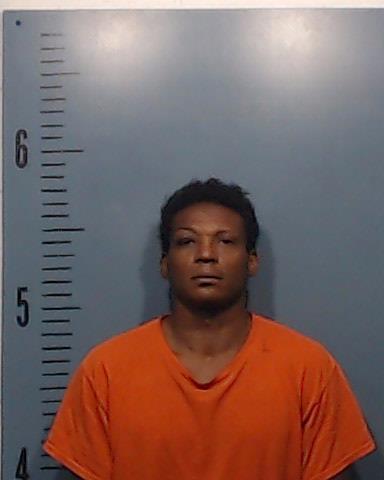 Ladson, Aaron Tyvone booking photo